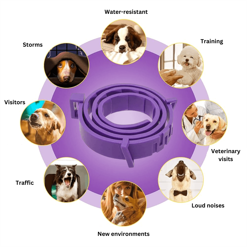 PawZen® | Safe, Non-Toxic Calming Collar for Pets!