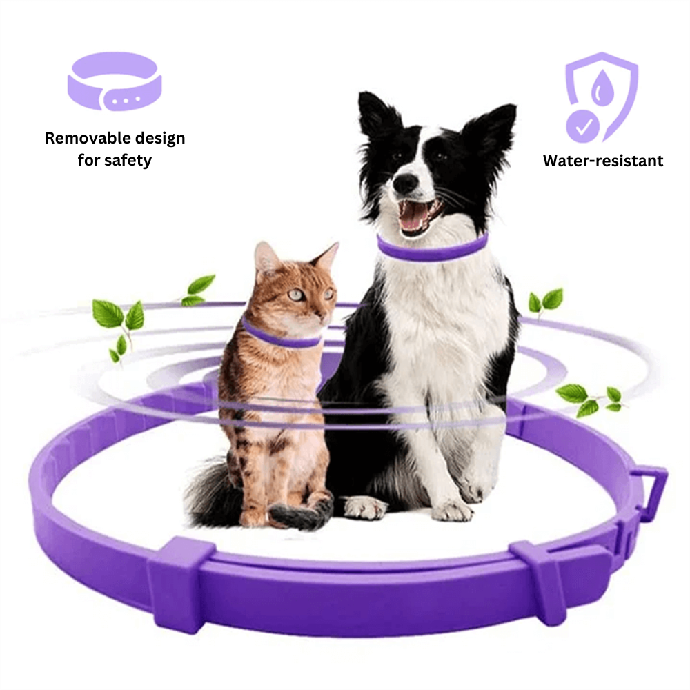 PawZen® | Safe, Non-Toxic Calming Collar for Pets!